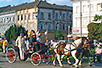 Horse carriage in Arad (photo: Miodrag Grubački)
